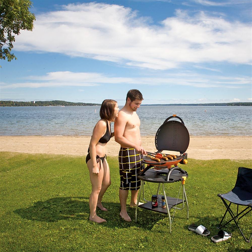 BBQ World Essentials: Top Accessories for the Ultimate Grilling Experience