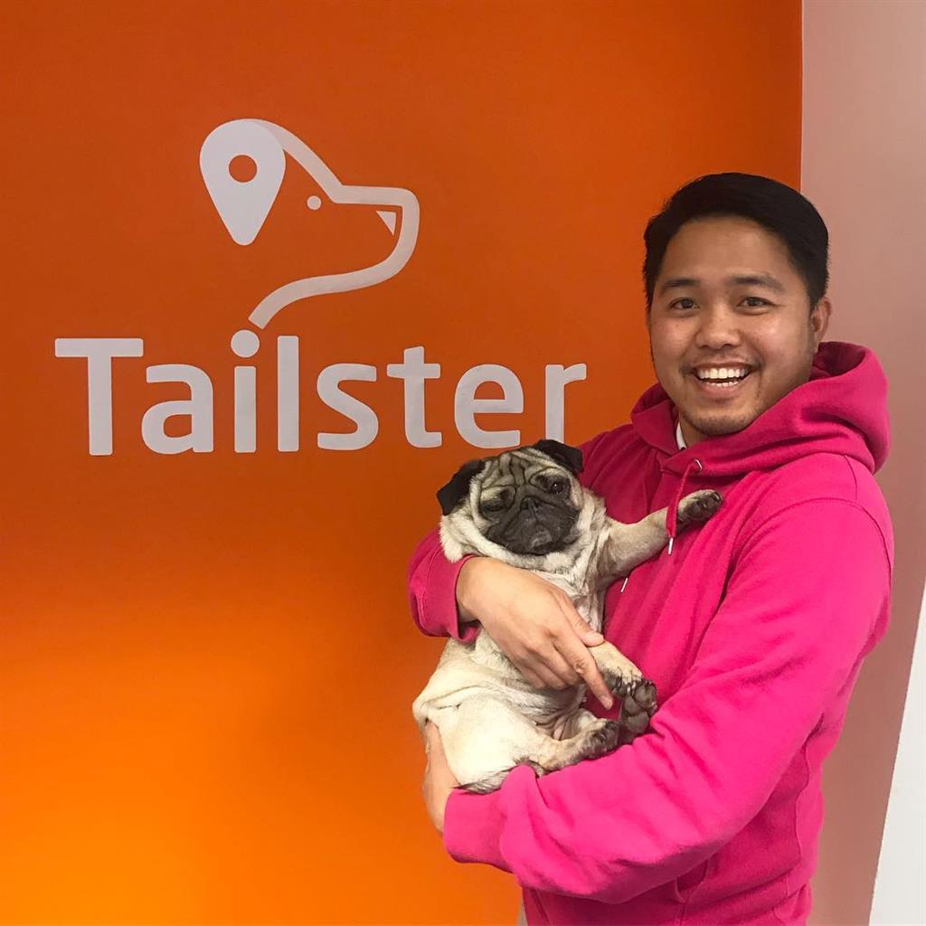 Why Tailster is the Ideal Solution for Your Pet Care Needs