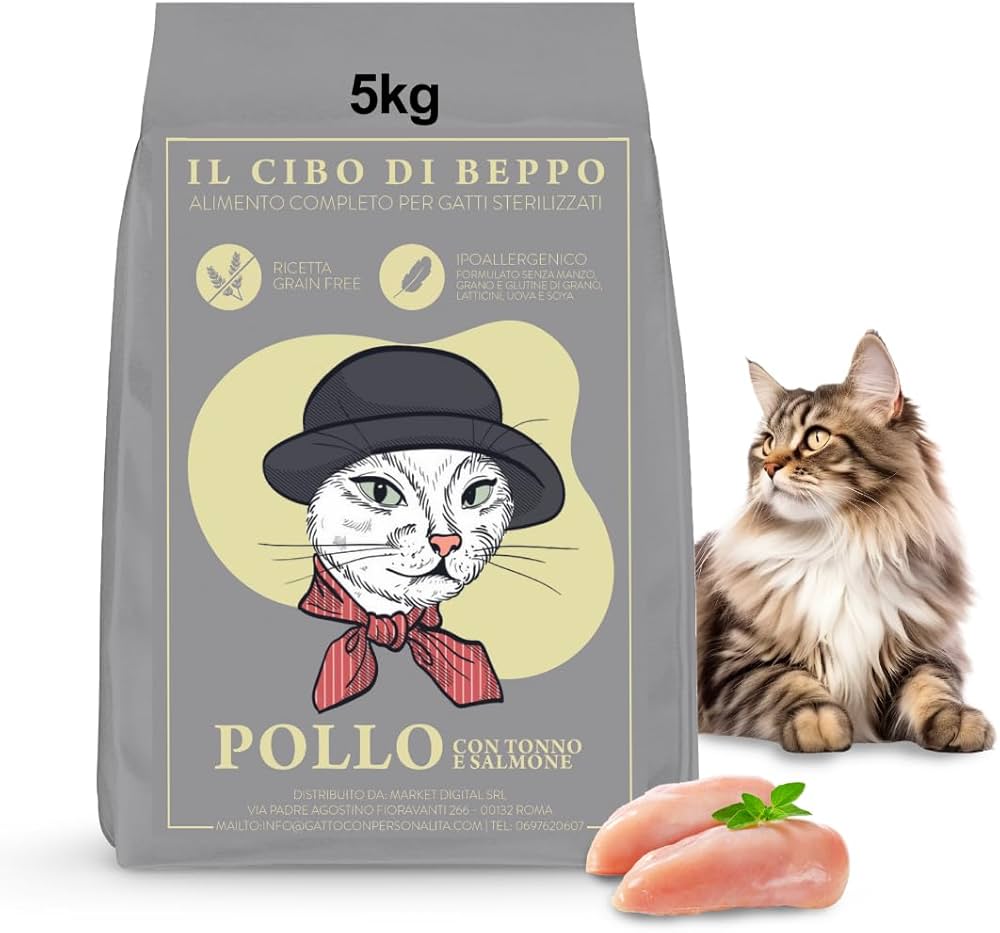 Il Comfort dei Gatti è la Nostra Priorità