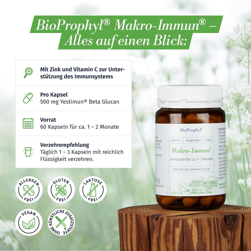 BioProphyl BE: Uw Partner in Hoogwaardige Voedingssupplementen
