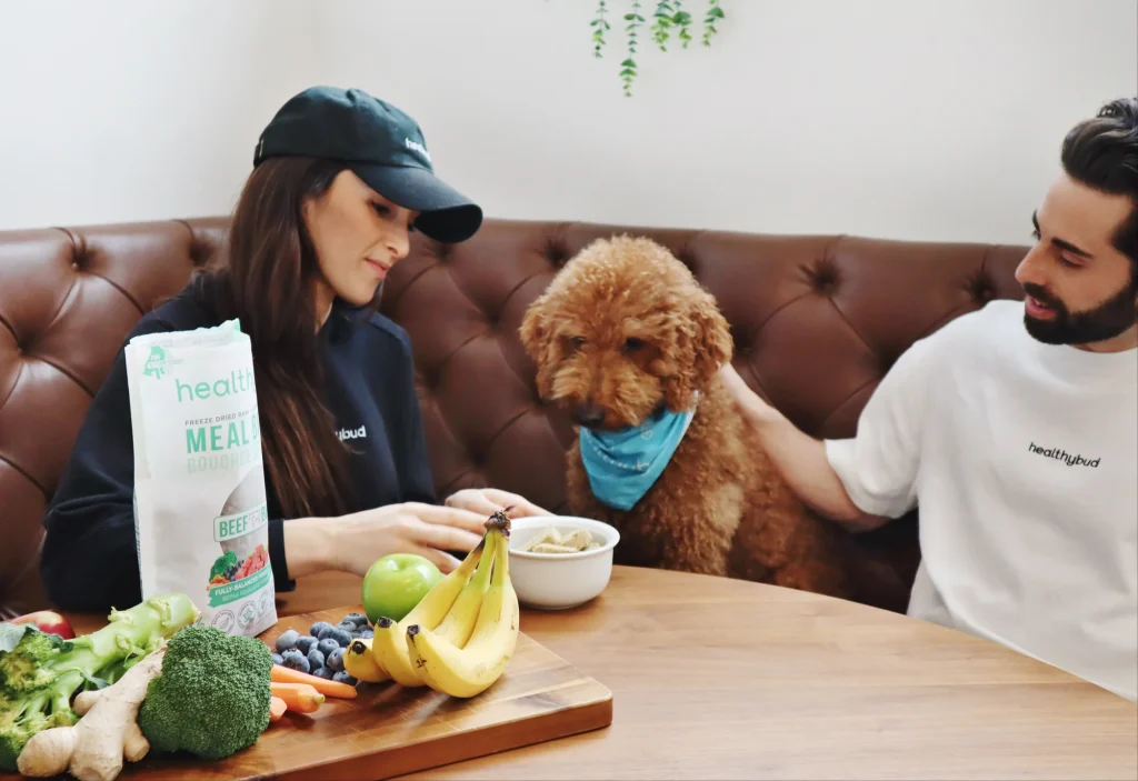 The Best Dog Treats That Don’t Mess With Their Stomach or Energy Levels