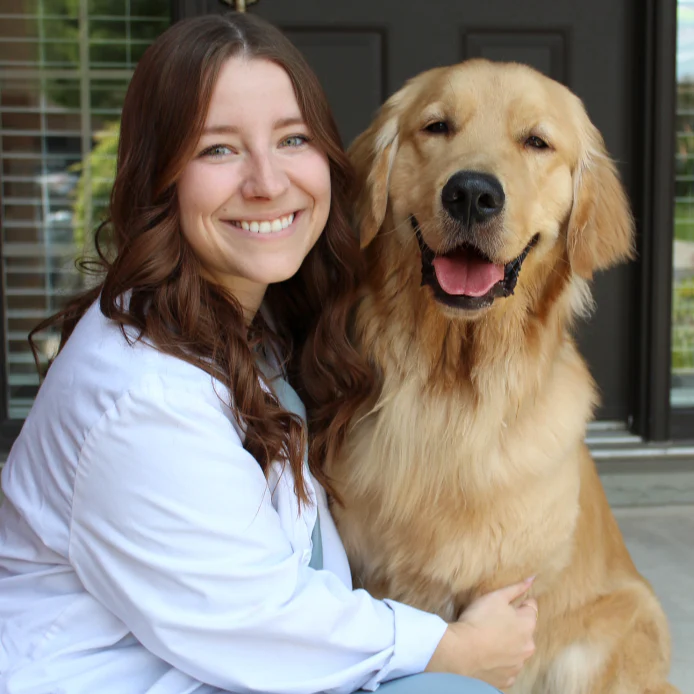 One Tiny Upgrade That Made This Dog’s Mealtime Healthier, Calmer, and Way Less Messy