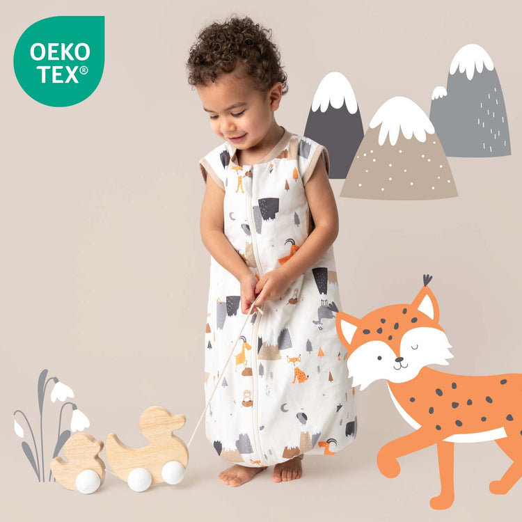 Die Reise von Schlummersack: Von nachhaltigen Anfängen zur weltweiten Anerkennung In der Welt der Babyschlafbekleidung hat eine Marke durch die Kombination von Nachhaltigkeit, Sicherheit und Innovation einen bleibenden Eindruck hinterlassen: Schlummersack. Was als kleine Initiative zur Herstellung bequemer und umweltfreundlicher Babyschlafsäcke begann, hat sich zu einer weltweit anerkannten Marke entwickelt, der Eltern in ganz Europa und darüber hinaus vertrauen. Schlummersacks Weg von bescheidenen Anfängen zum Branchenführer ist ein Beweis für sein Engagement für Qualität, ethische Produktion und ein tiefes Verständnis dafür, was Babys und Eltern für eine gute Nachtruhe brauchen. Lassen Sie uns untersuchen, wie diese in Deutschland geborene Marke zu einem bekannten Namen für nachhaltige Babyschlaflösungen wurde.
