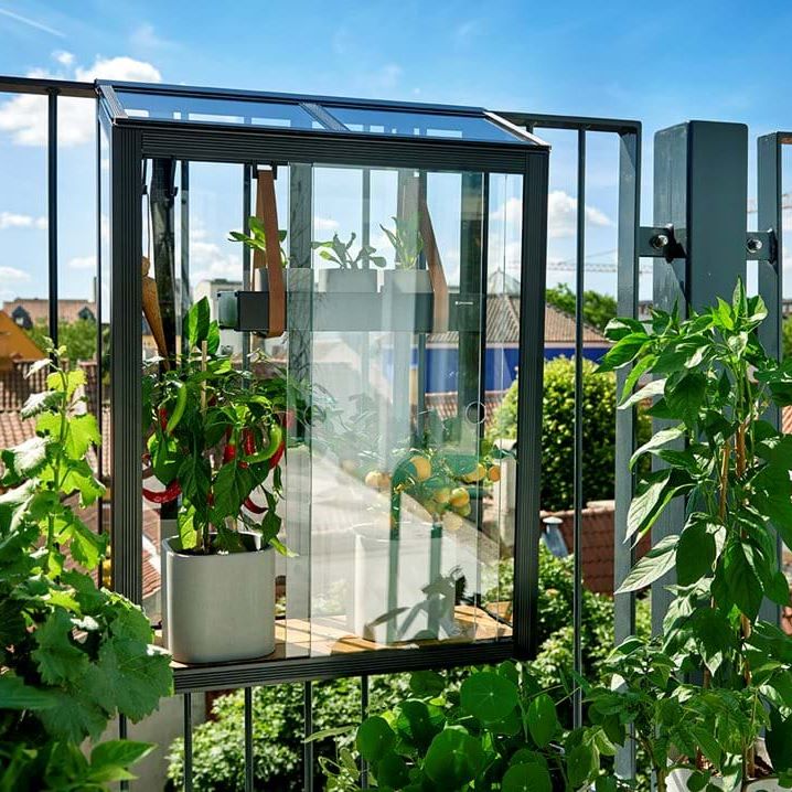 Entdecke die Welt von meine ernte: Eine Revolution bei Saatgut und Pflanzen