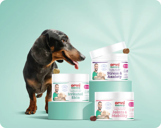 Omni Pet: A New Era in Sustainable Pet Nutrition