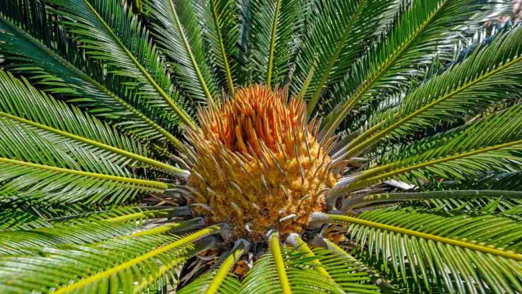 Transform Your Garden into a Tropical Paradise with Exotic Plants