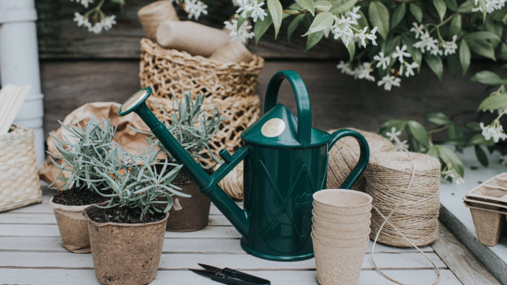 The Perfect Indoor Companion: The Bartley Burbler Watering Can by Haws