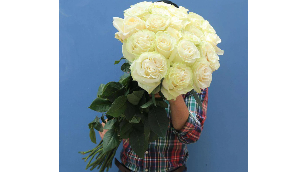 Extra Long Stem Roses: The Ultimate Symbol of Elegance and Grace