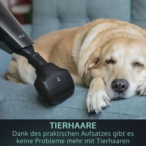 B-Ware clever kaufen: Warum BWAREshop die erste Adresse für smarte Deals ist