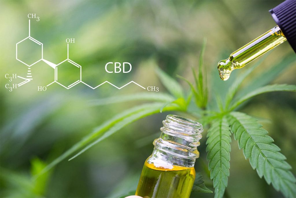 Discover Supreme CBD – Elevating Natural Wellness