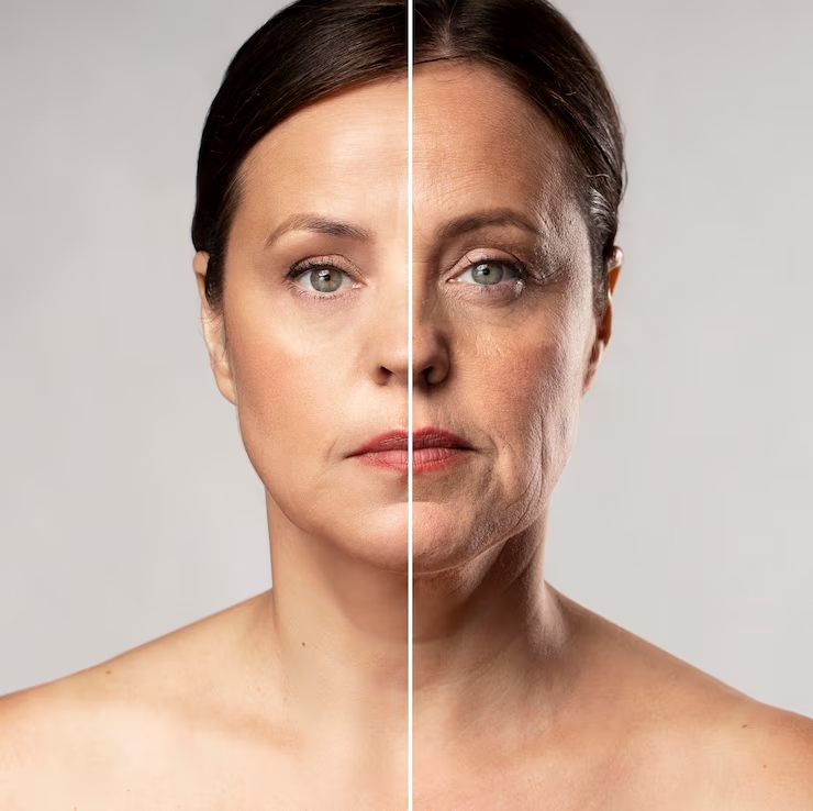 The Power of Bee Venom: Why Rodial’s Anti-Aging Products Stand Out
