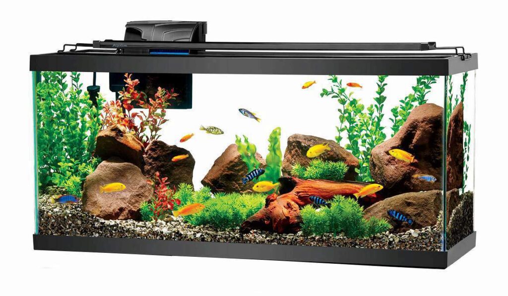Guida Completa alla Cura degli Acquari con AquaZoomania Shop