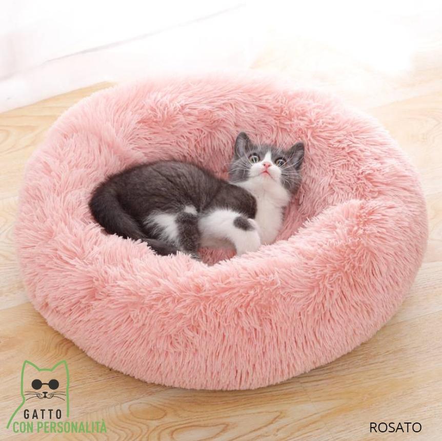 Innovazione e Qualità: La Promessa di Gatto con Personalità