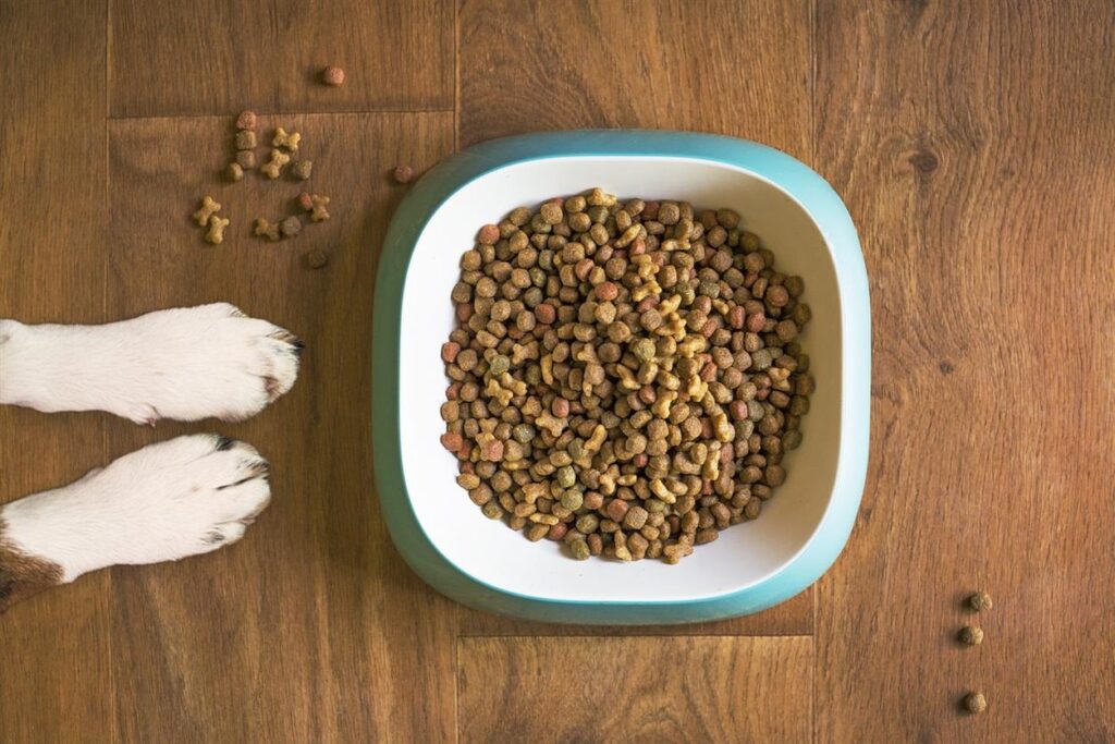 Warum das Fleisch von grasgefütterten Tieren aus Freilandhaltung in Irland der Schlüssel zur Gesundheit unserer Hunde ist Als Hundebesitzer wollen wir immer das Beste für unsere pelzigen Gefährten. Wir wollen, dass sie gesund, glücklich und voller Energie sind. Und wenn es darum geht, das richtige Futter für unsere Haustiere auszuwählen, ist nichts wichtiger als die Qualität der Zutaten. Im Laufe der Jahre bin ich zu der Überzeugung gelangt, dass einer der wichtigsten Faktoren für das Wohlbefinden unserer Hunde die Qualität des Fleisches ist, das sie fressen. Deshalb bin ich so begeistert von den Vorteilen von grasgefüttertem Fleisch aus Freilandhaltung – insbesondere aus Irland. Als wir begannen, Irish Pure zu entwickeln, wollten wir sicherstellen, dass jede Zutat, die wir verwenden, nicht nur einen hohen Nährwert hat, sondern auch ethisch einwandfrei bezogen wird. Und nachdem wir die besten Fleischquellen erforscht hatten, fanden wir heraus, dass grasgefüttertes Freilandvieh aus Irland einige der hochwertigsten Proteine bietet, die es gibt. Hier erfahren Sie, warum dies für die Gesundheit Ihres Hundes so wichtig ist.