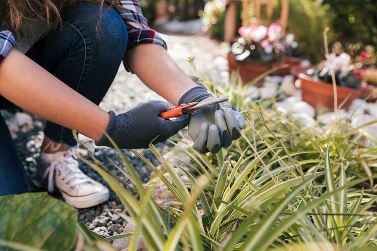 Essentiële Tuinonderhoudsproducten: Wat Elke Tuinier Nodig Heeft van Intergard