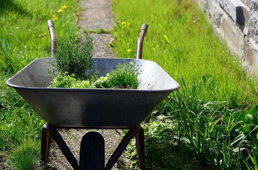 In einer Welt, in der Nachhaltigkeit immer wichtiger wird, ist es unerlässlich, Wege zu finden, im Einklang mit der Natur zu leben. Bei Dein-Flaschengarten.de glauben wir, dass umweltfreundliches Gärtnern weder schwierig noch langweilig sein muss – es kann Spaß machen, kreativ sein und unglaublich lohnend. Mit unseren innovativen Flaschengärten verändern wir die Art und Weise, wie Menschen über Gartenarbeit denken, und ermöglichen es, die Natur drinnen zu genießen und gleichzeitig Nachhaltigkeit und Umweltverantwortung zu fördern.