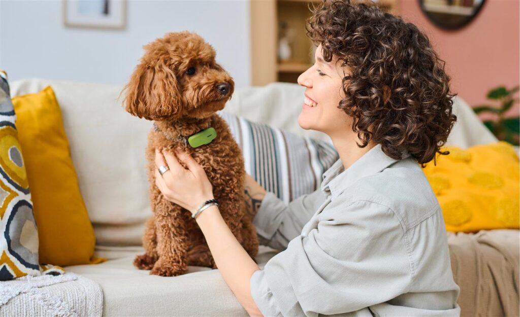 Proteggi il Tuo Kippy Evo con la Cover in Silicone Verde: Una Soluzione Elegante e Funzionale
