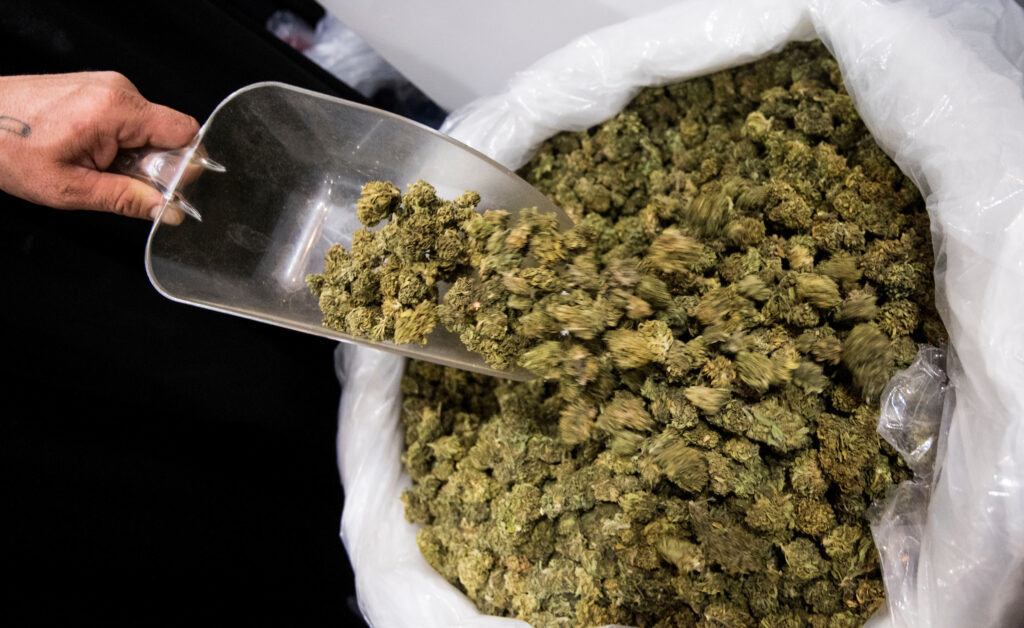 High Society : Réinventer le Bien-Être à Travers le CBD de Luxe