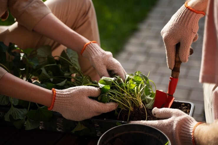 Seizoensgebonden Tuinieren: Hoe je je Tuin Voorbereidt met Kwaliteitsproducten van Intergard