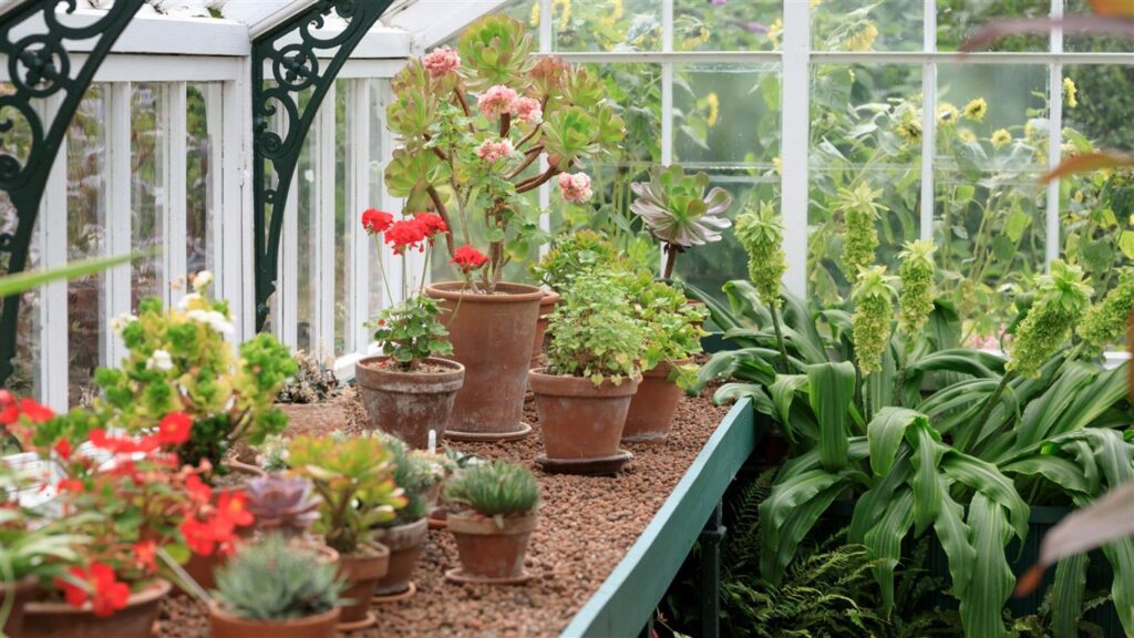 Tuinland: Jouw One-Stop-Shop voor Tuin, Wonen en Dieren