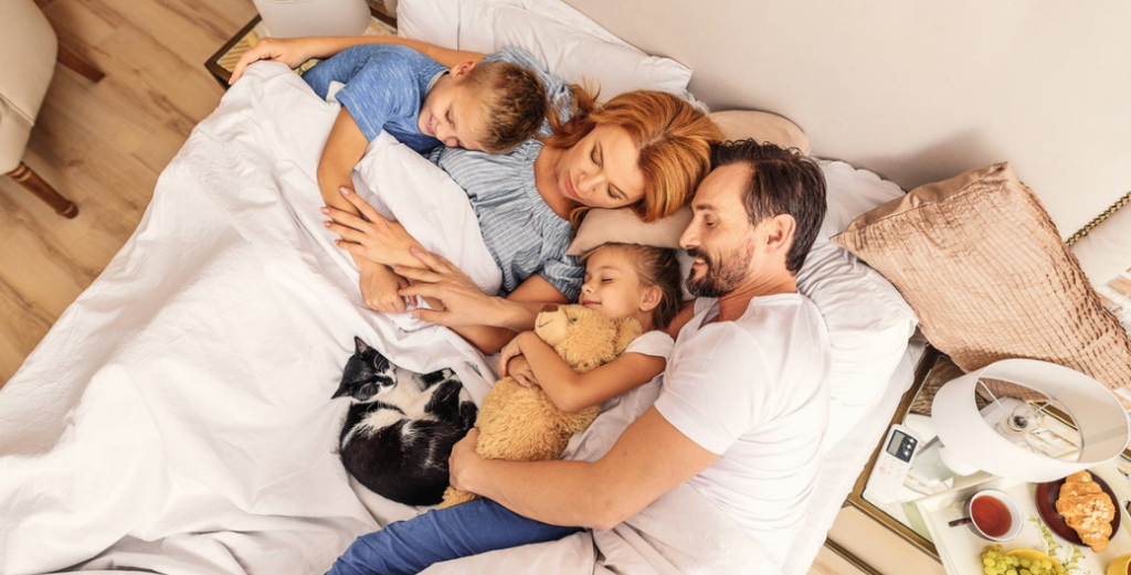 The Evolution of Sleep: Tracing the Trends with Beds.co.uk’s Bed Collections