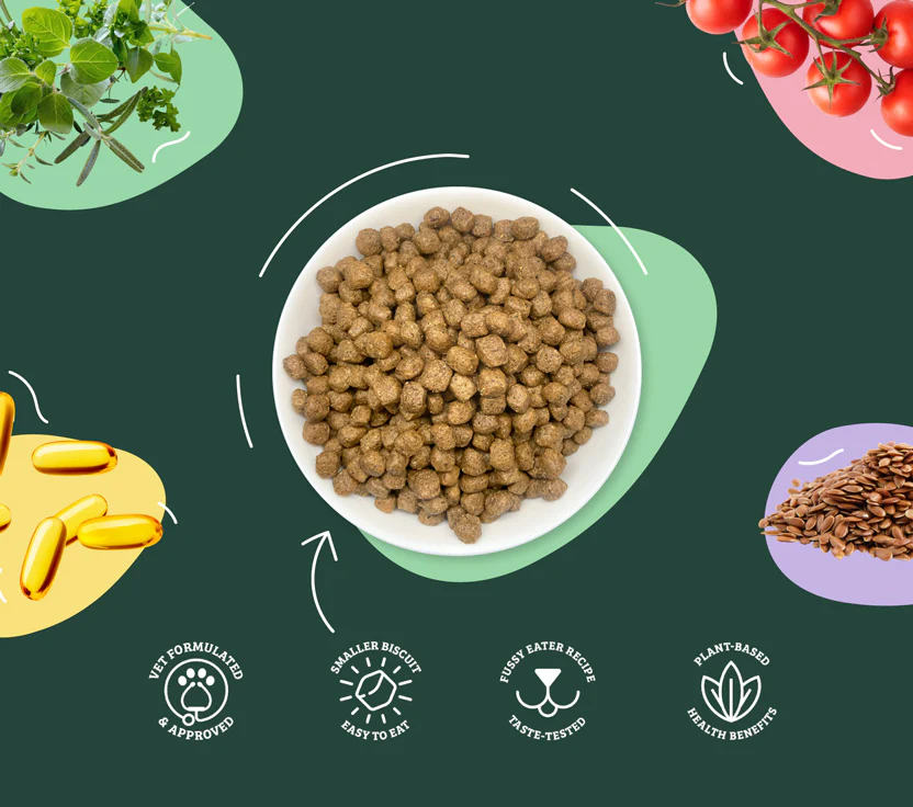 Omni Pet: Transforming Pet Nutrition with Sustainability and Care