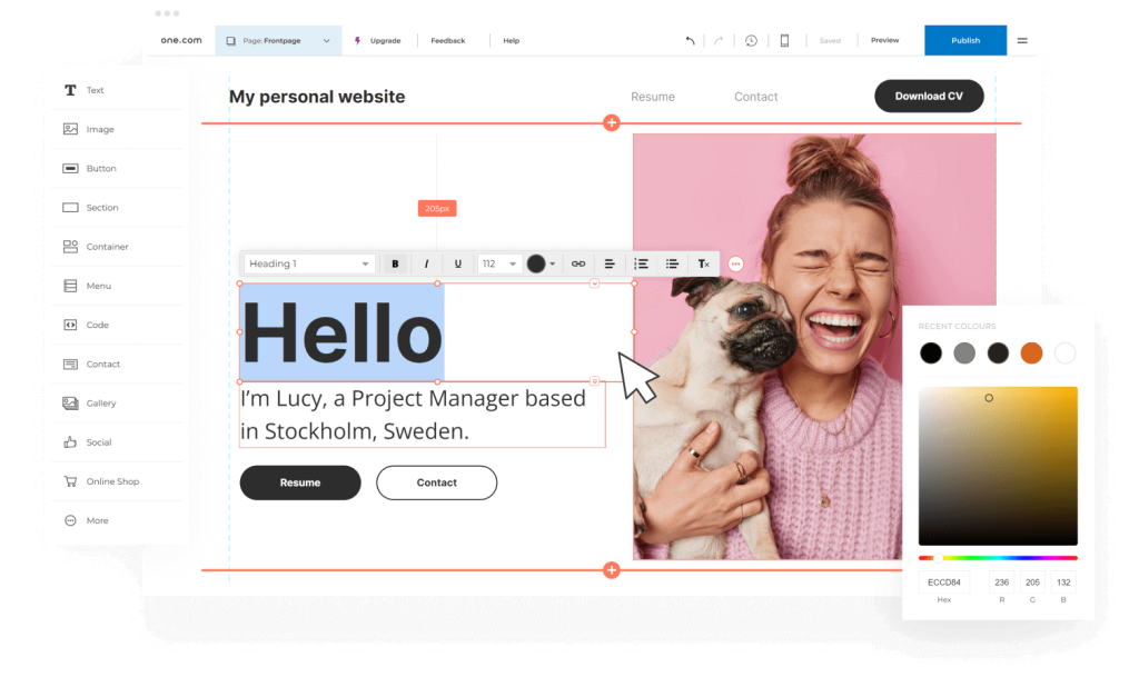 One.com: En enkel og brukervennlig løsning for nettsidebygging