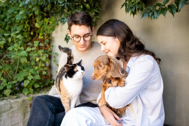 PetLab’s Commitment to Quality: Why Pet Owners Trust Their Products PetLab's Commitment to Quality: Why Pet Owners Trust Their Products