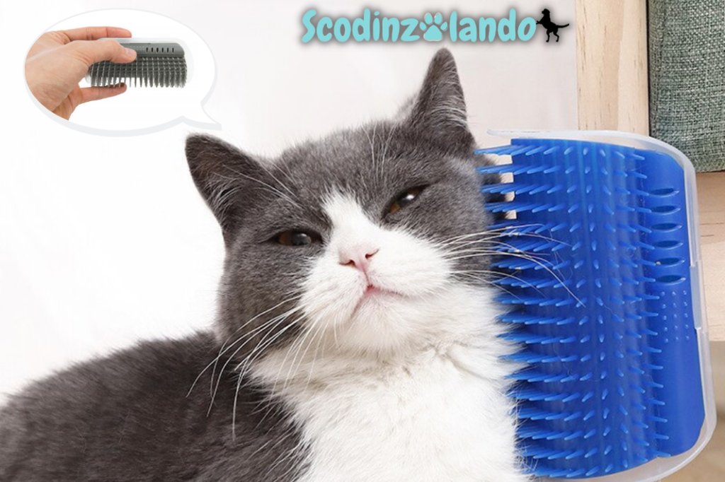 Spazzola Massaggiante Angolare – Il Massimo del Comfort per il Tuo Gatto