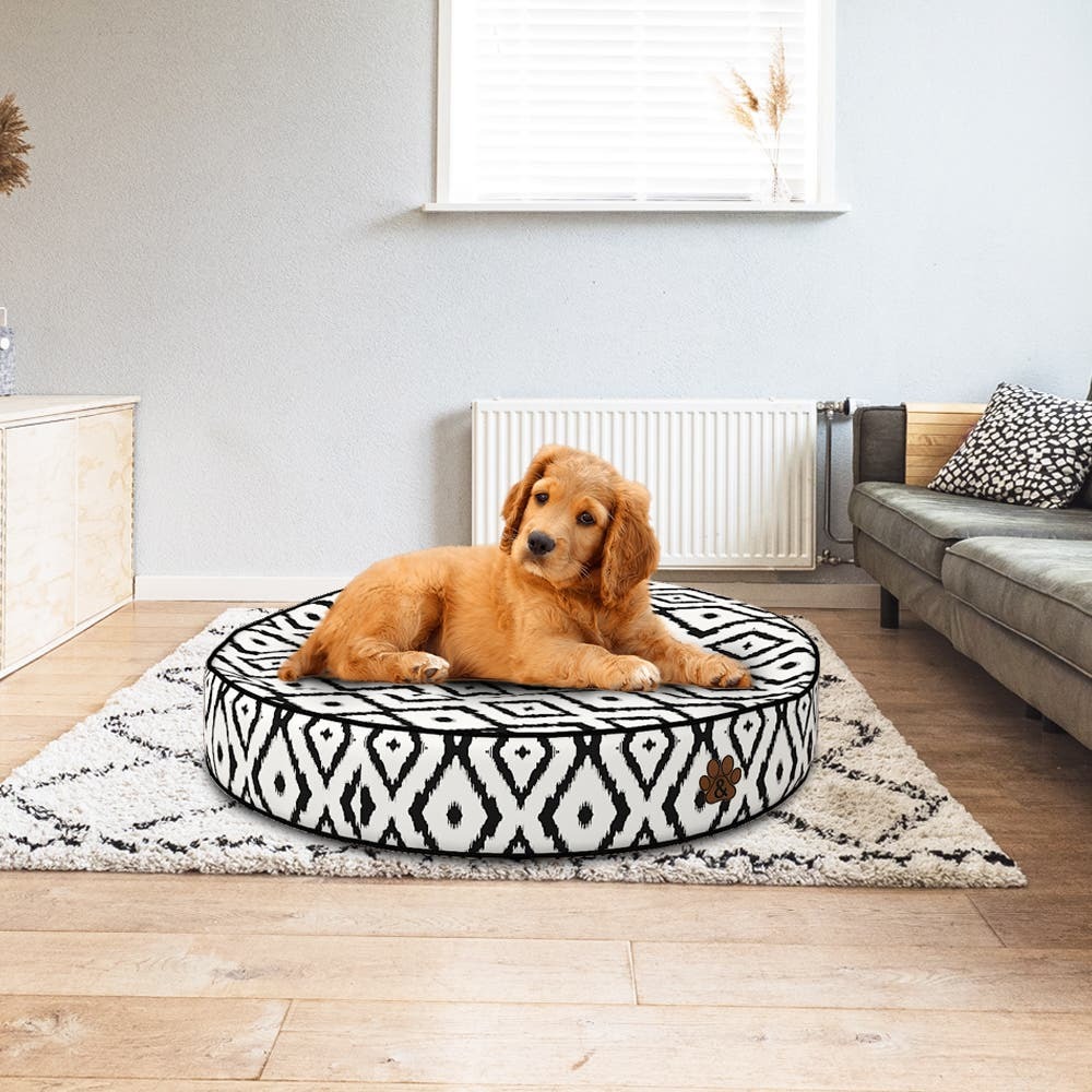 Pamper Your Pup with Durable Dog Bed Cushions from Covers & All