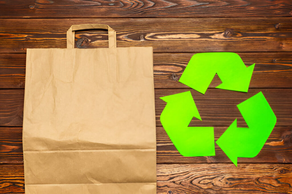 EcoBioPack: Milieuvriendelijke Tassen voor een Groene Toekomst