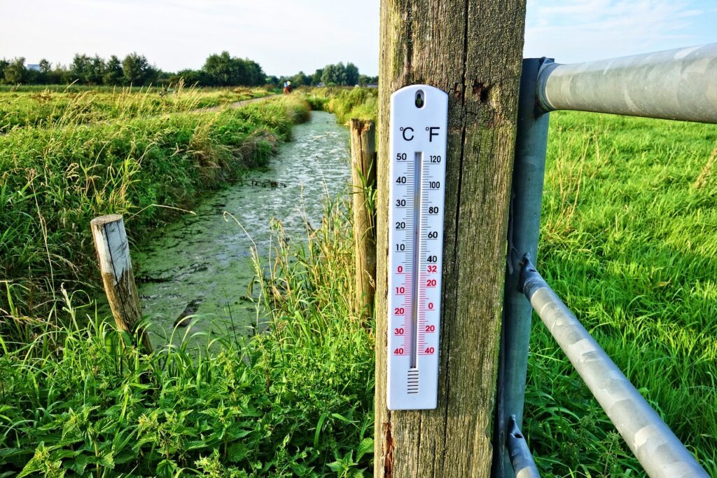 Beyond the Kitchen: Exploring the Versatility of ThermoPro’s Hygrometers and Weather Stations Beyond the Kitchen: Exploring the Versatility of ThermoPro’s Hygrometers and Weather Stations