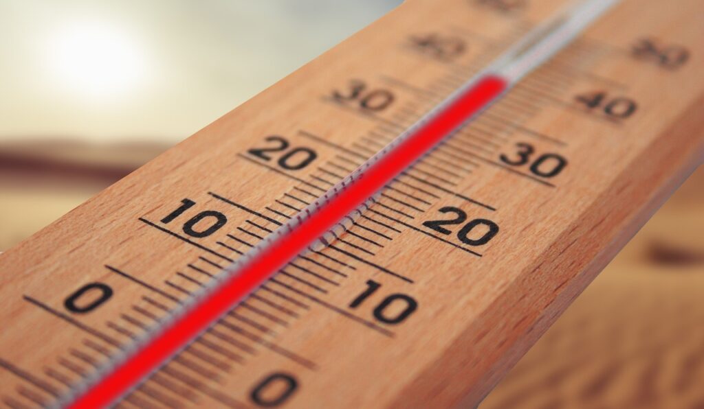 Cook Like a Pro: Unlocking the Full Potential of Your ThermoPro Meat Thermometer Cook Like a Pro: Unlocking the Full Potential of Your ThermoPro Meat Thermometer